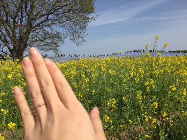 プロポーズされた際に撮った写真です。