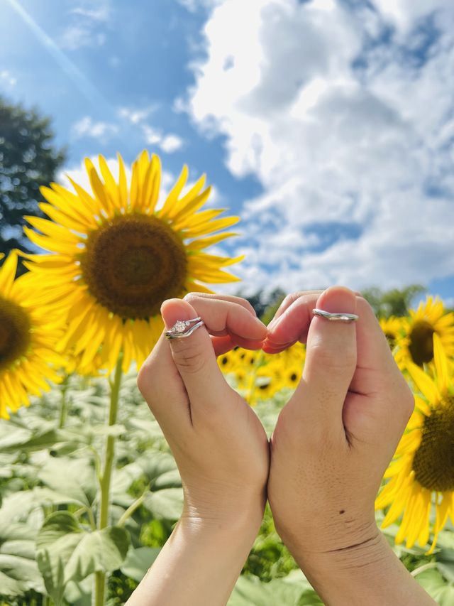 入籍時期に合わせ夏のひまわりにも負けないデザインがお気に入り