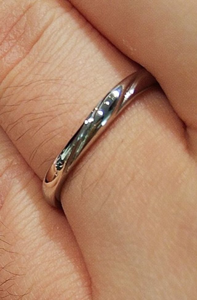 複雑なデザインを詰め込んだ逸品