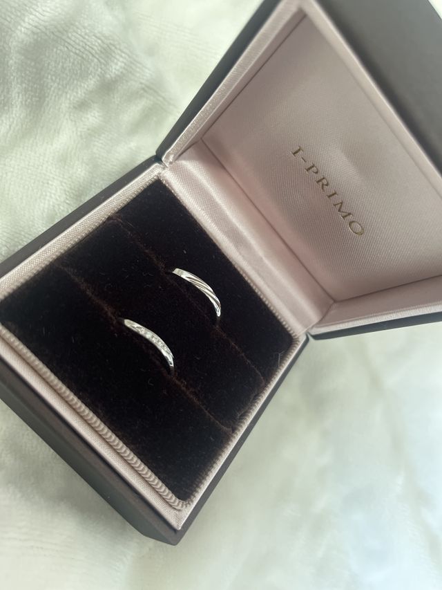 ユリシーズのペアです。