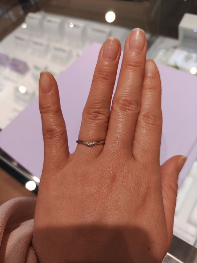 着用写真(全体)