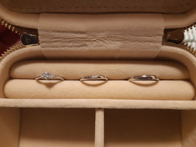 左からヴィオラ、ケレース、ユノーです。