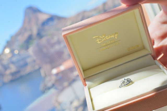 スティッチのフルオーダーリングとミラコスタからの景色です