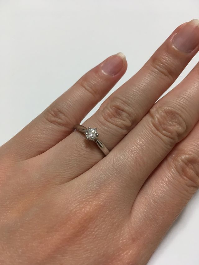 毎日眺めてます