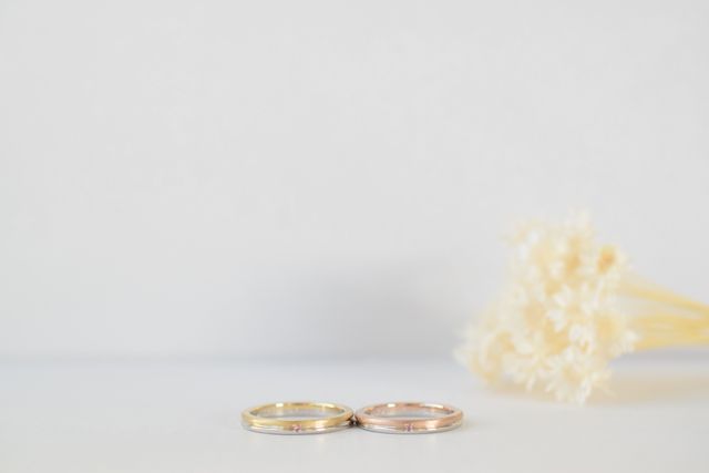 お店の方が綺麗に撮影してくれました。