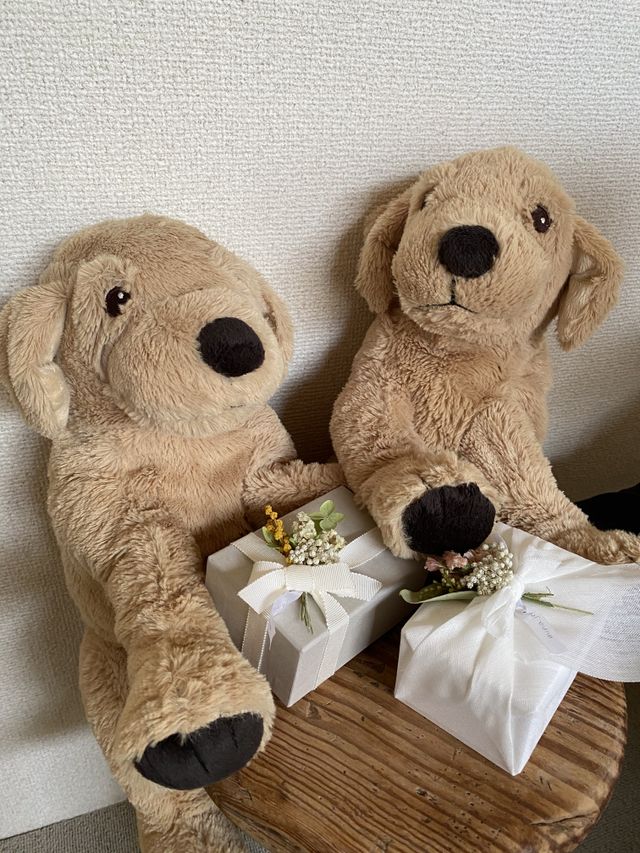 お気に入りのぬいぐるみと
一緒に撮った写真です。