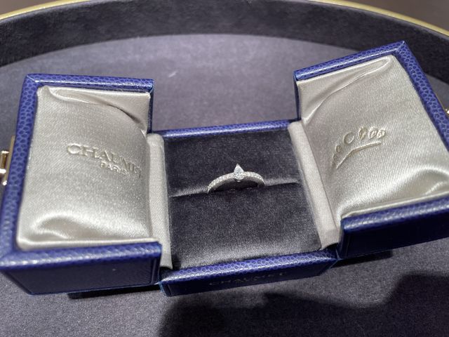 エクラデテルニテ　バンドーリング