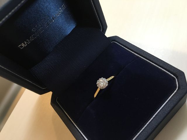 ひまわり 花言葉ゎあなただけを見つめる