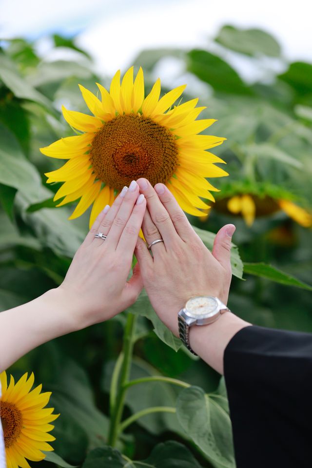 ティファニーのハーモニー