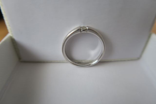 横から見た写真