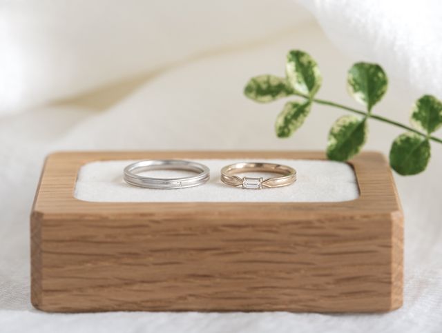 お店からいただいた写真