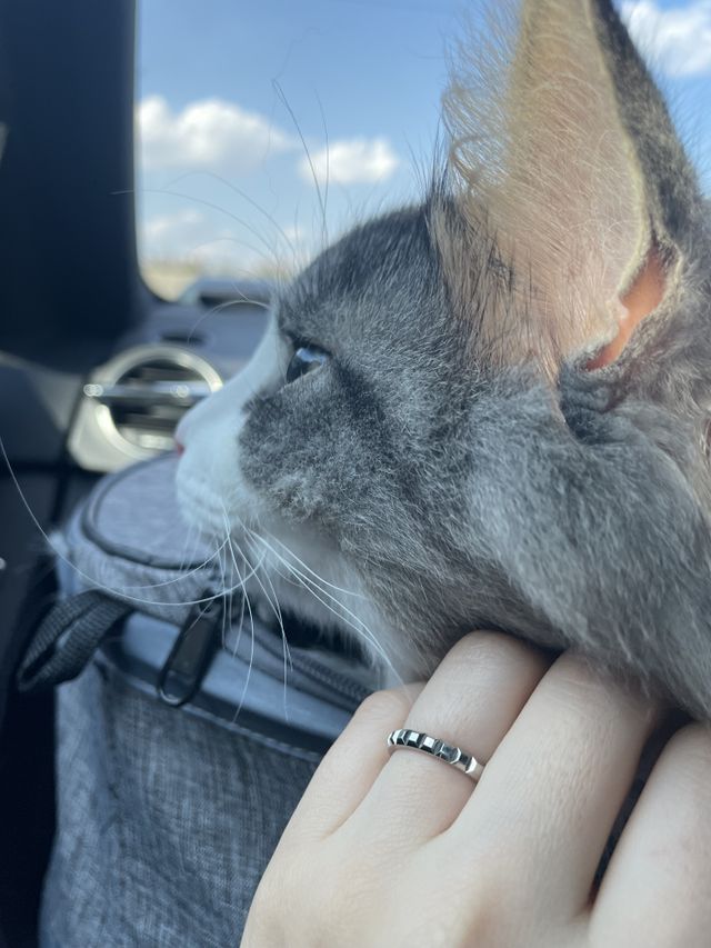 ダイヤに負けない輝き