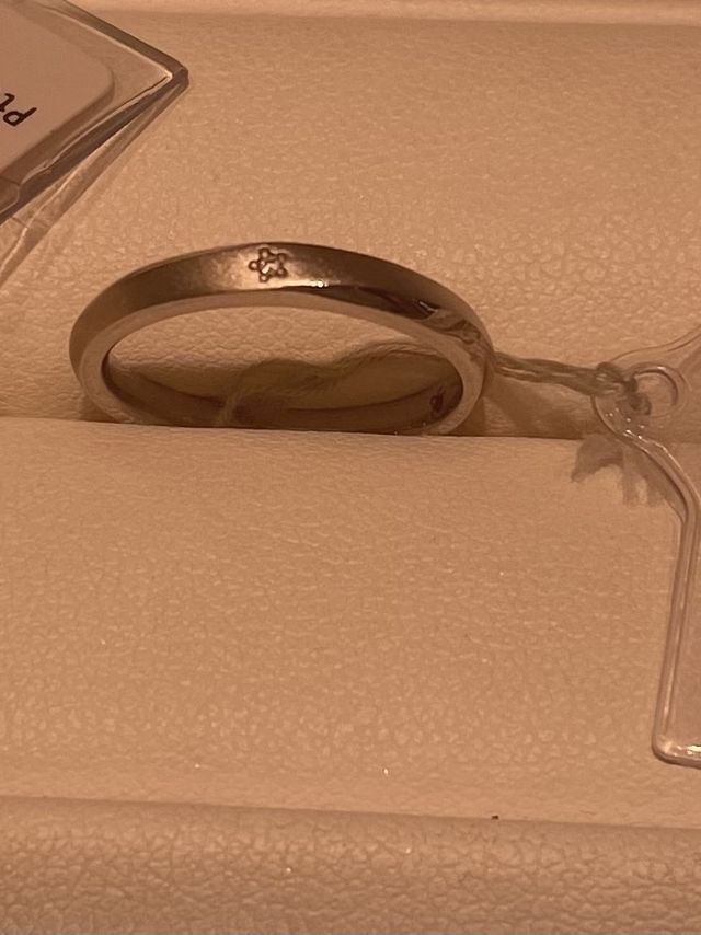 お花のような型の石