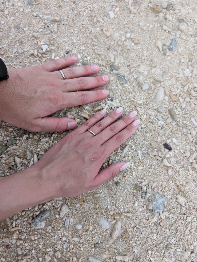 ブラウンゴールドという色が気に入り、アイプリモさんにしました