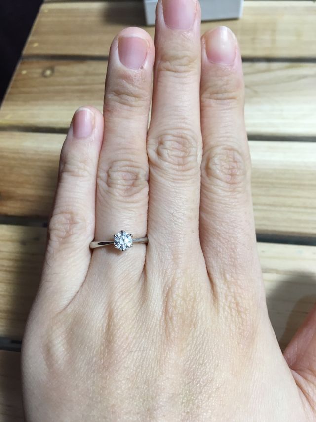 購入したのは６爪タイプの一番オーソドックスなもの