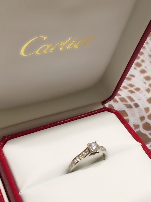 ケースに入れた状態です