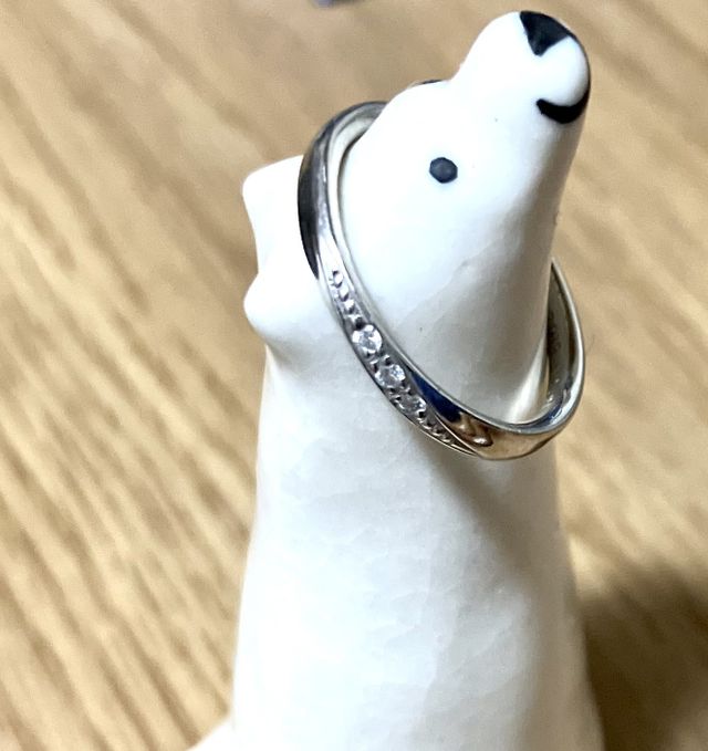 置いてみるとこんな感じです！