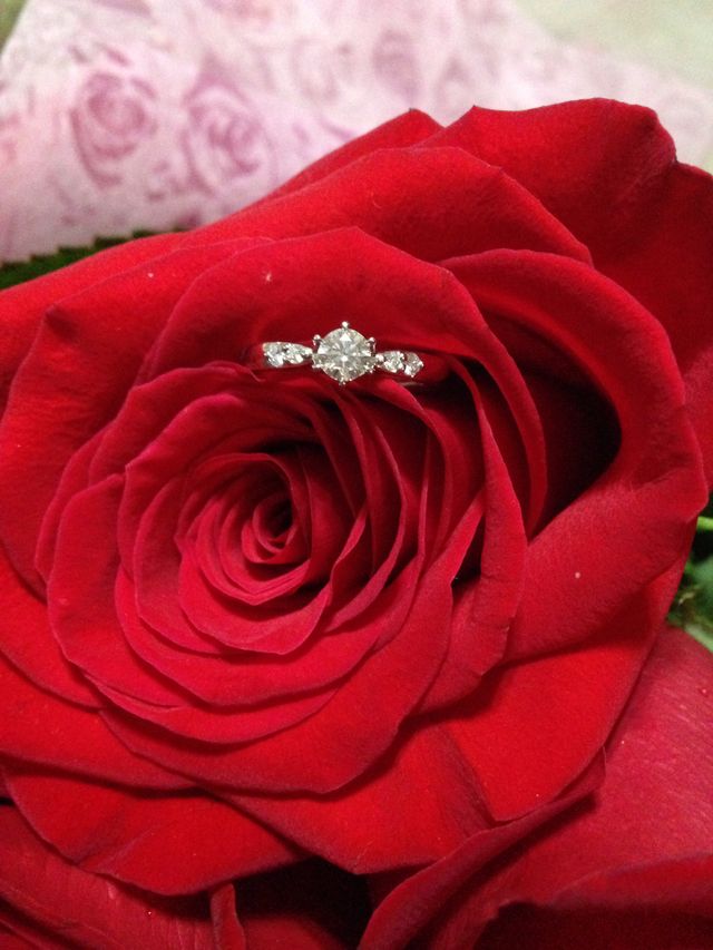 真正面から見た感じです