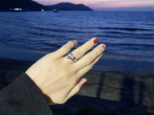 夜は光に当たって特に綺麗に見えて感動しました。