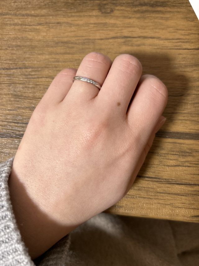 ユリシーズ
Pt950