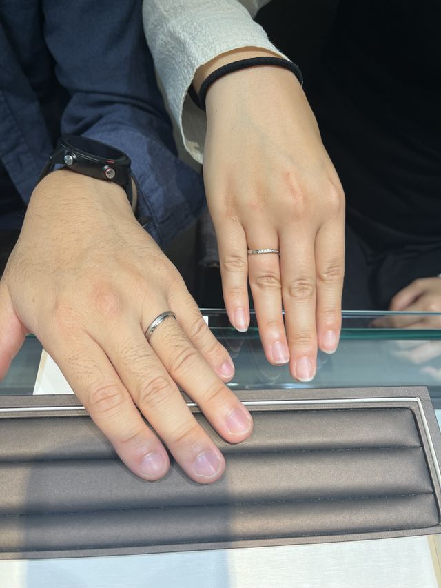 左　ハルモニア
右　ケレース