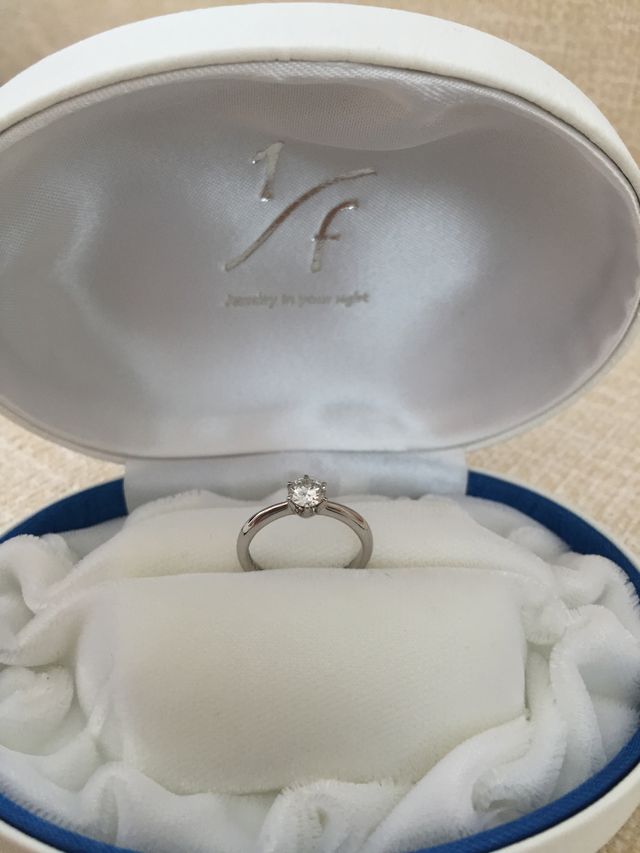 付属のケースに収めた状態です