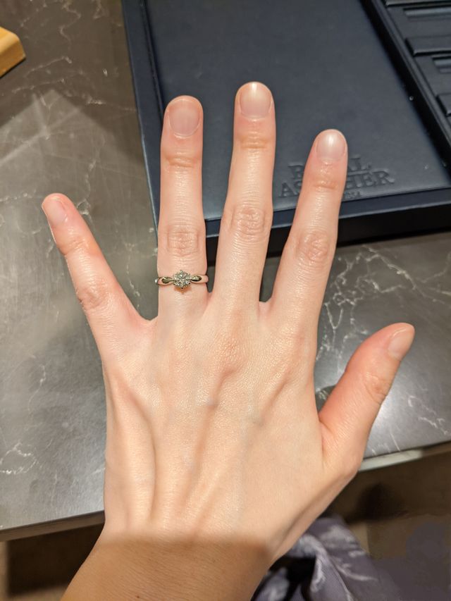 0.52カラット Fカラー VS1