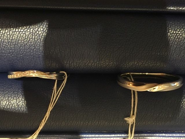 シライシの中でもデザインが凝っている方です