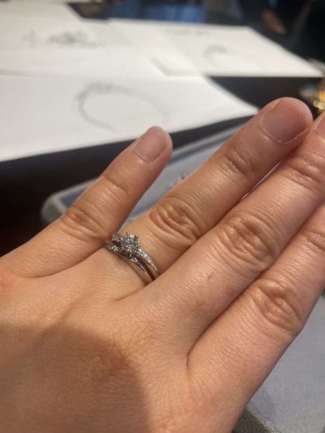 ファンタジアの着用