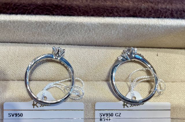 横から見た写真