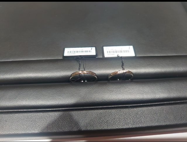 このブランドの中で最も気に入ったレンブラント