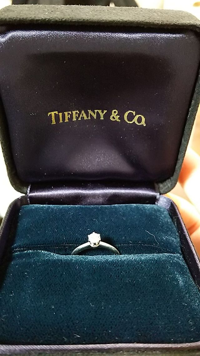 ケースに入った状態。