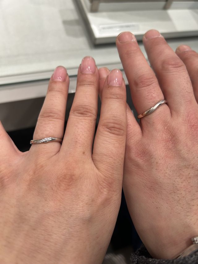 これに決めた！時の写真