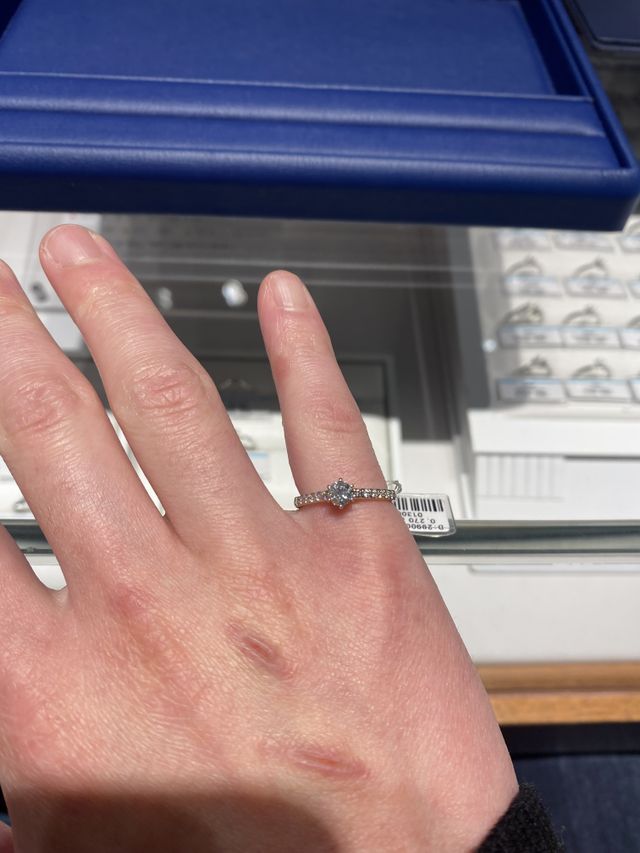 プロポーズ前の写真ですみません