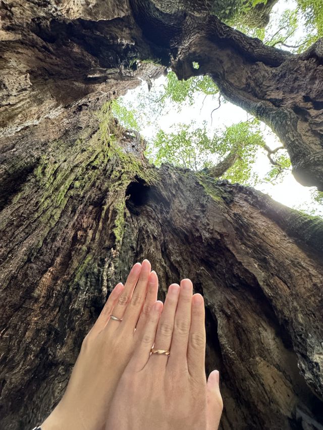 左彼女、右私。