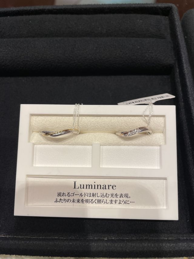 異色のデザインを探し求め、これを試着しました