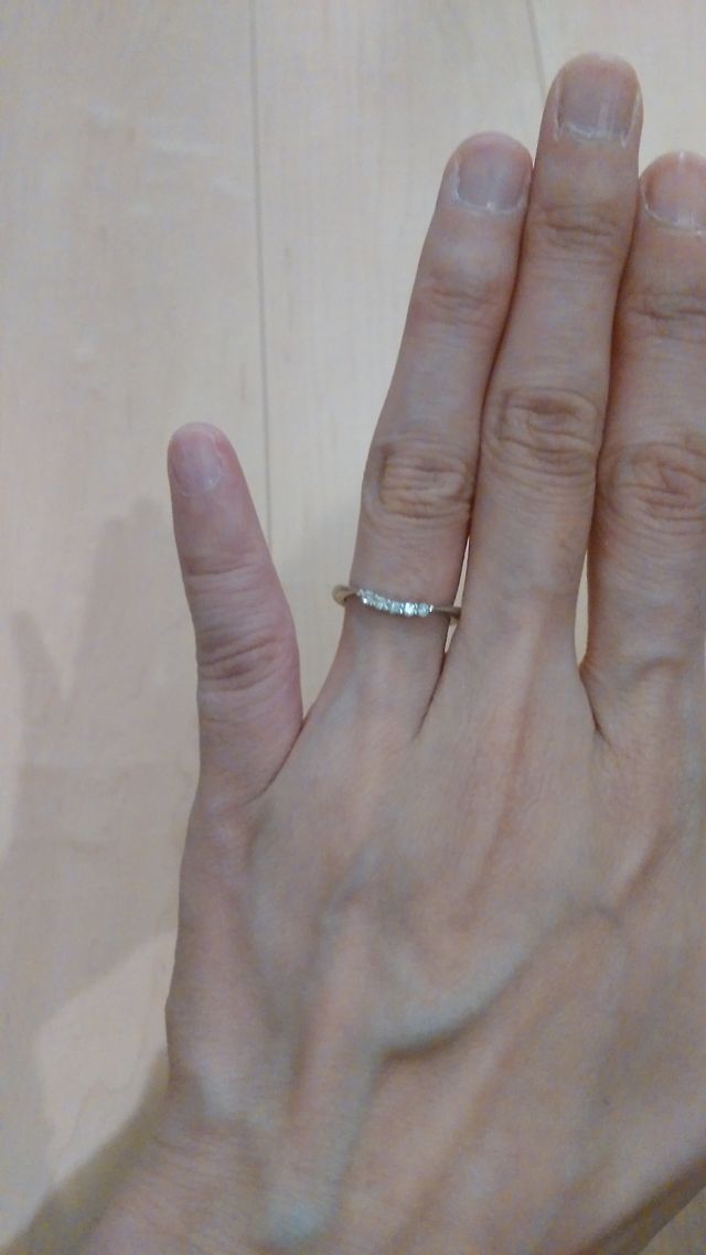 はめてみた感じです。