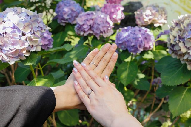 紫陽花と雪佳景