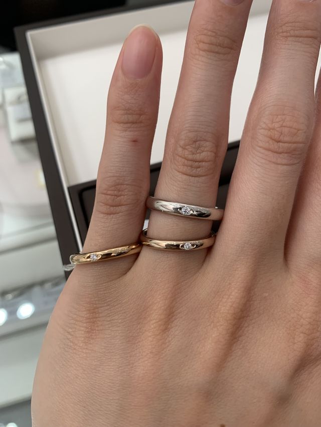 色の違いを比べた写真です