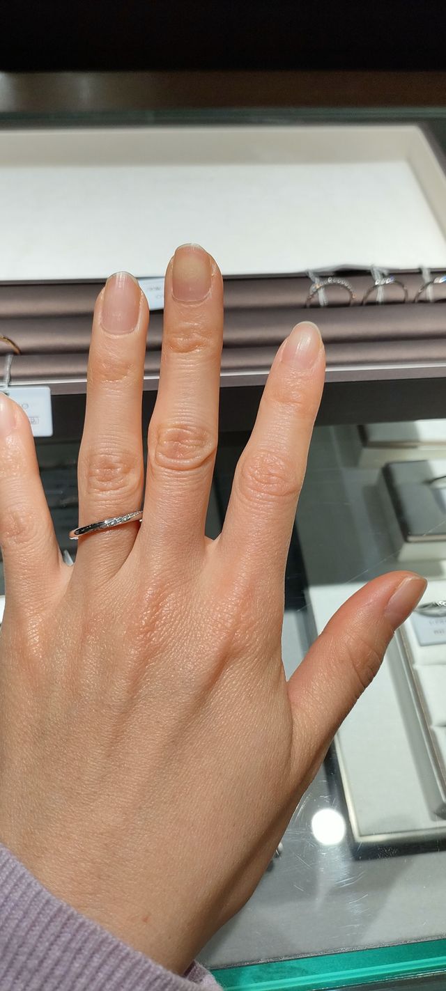 ヘラクレス（シルバー）