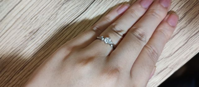 付けてもらったのを撮りました。