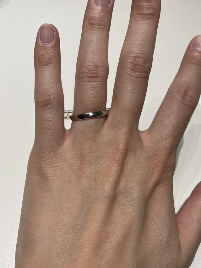 豪華さが感じられる