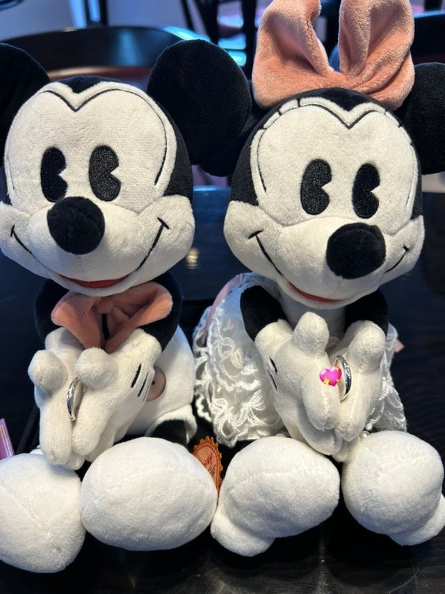 店舗で購入したぬいぐるみと撮影したものです。