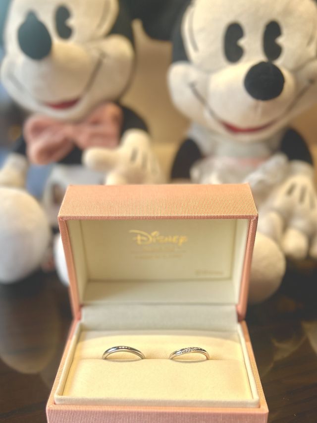 
ケイウノオリジナルミッキーミニーのぬいぐるみと共に