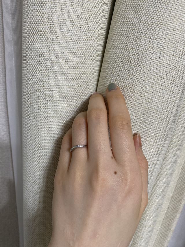 可愛いハドソンです！