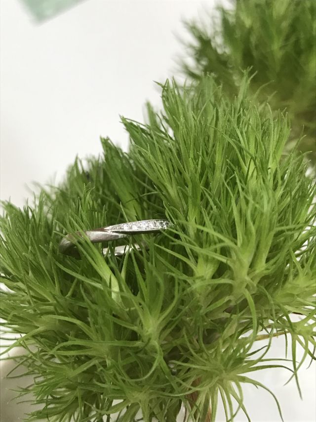 半分だけダイヤがついています。