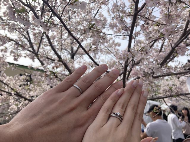 ノーマルカメラ、外の光での撮影です！