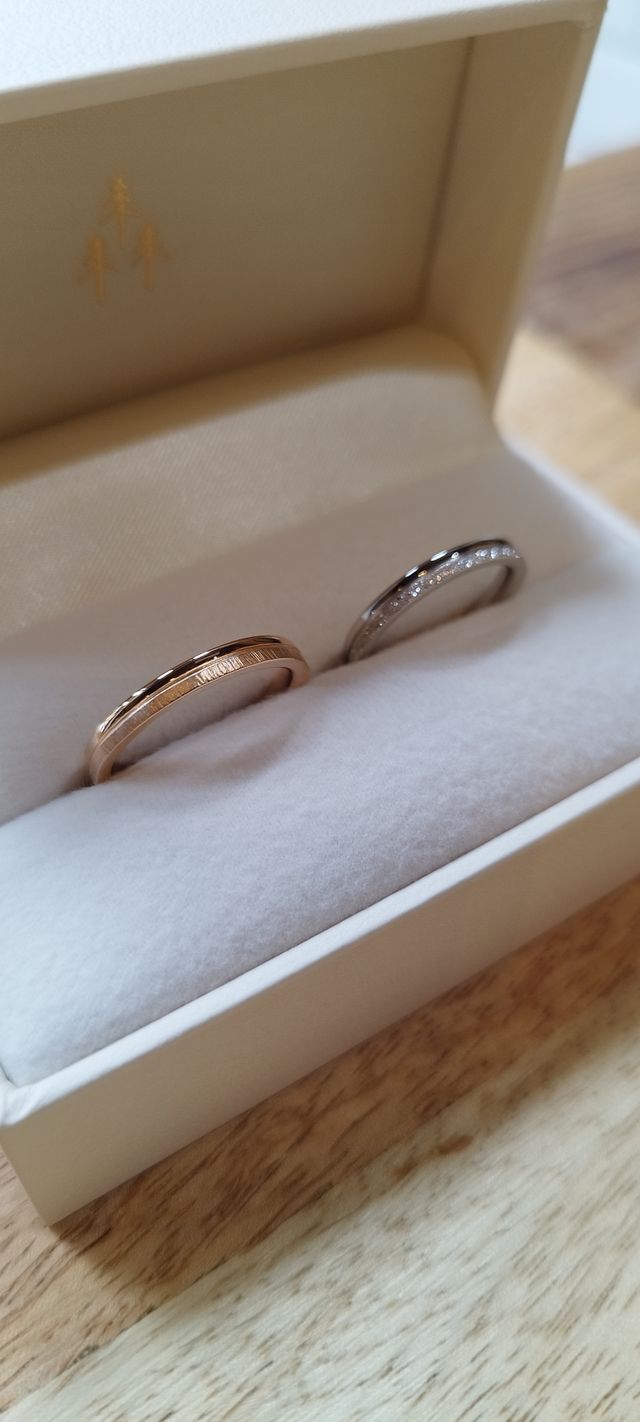 箱を開けて初めての写真です