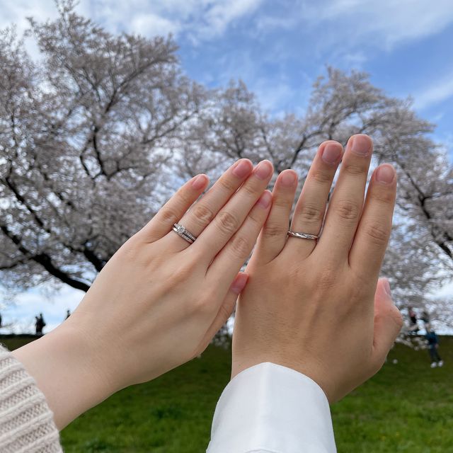 出来上がりホヤホヤの指輪を付けて、お花見に行きました。