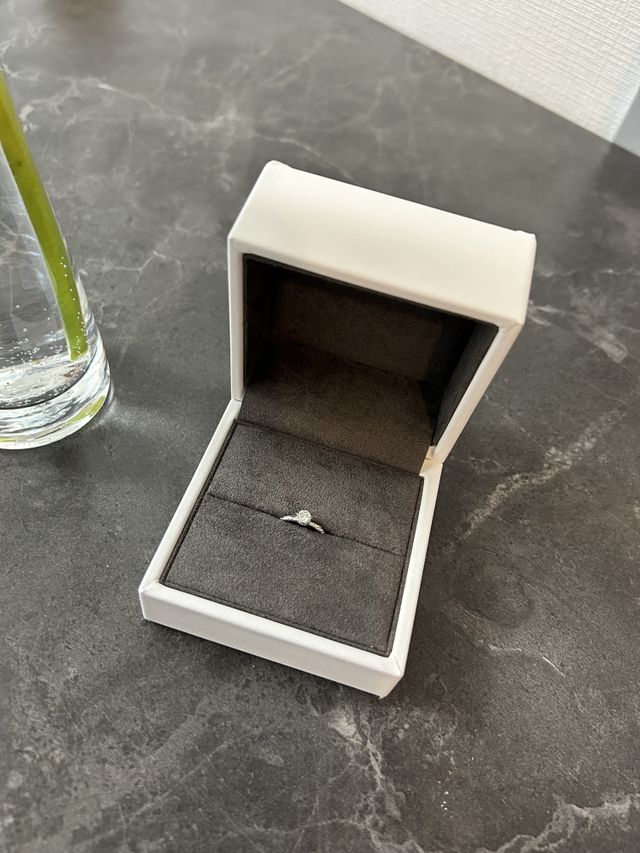 自宅に帰って撮りました。